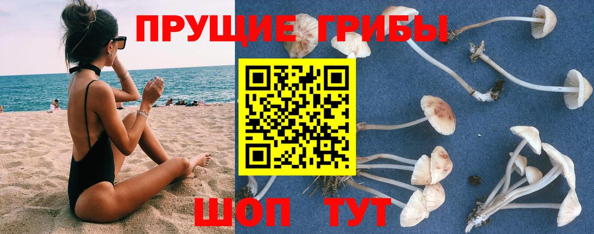 Псилоцибиновые грибы мухоморы Дзержинский