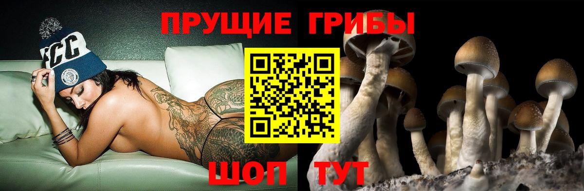 Галлюциногенные грибы Cubensis  Вход с VPN  Дзержинский  Галлюциногенные грибы Cubensis 